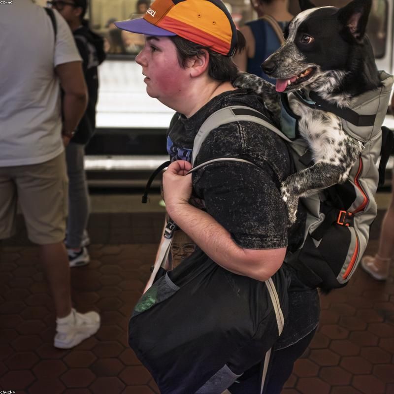TrailGear 35L Water-Resistant Laptop Backpack